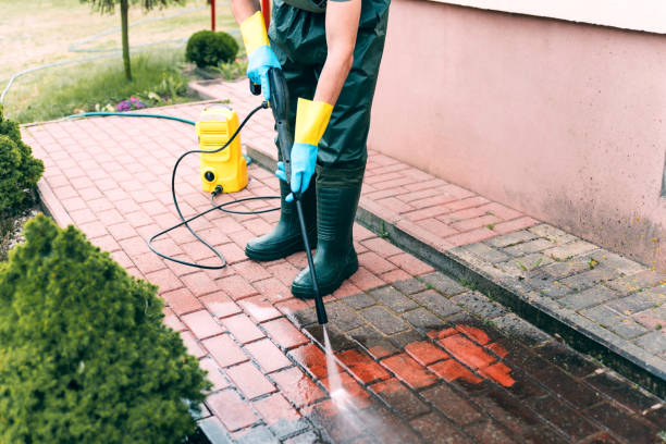 Best Commercial Building Pressure Washing  in Belzoni, MS